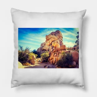 Desert Tones At Joshua Tree National Park Pillow