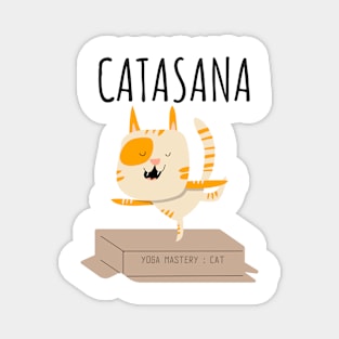 Catasana. Yoga Mastery : Cat Magnet