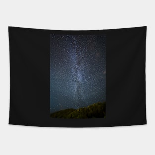 Milky Way with forest in the foreground Tapestry