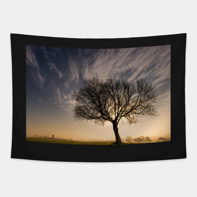 One Tree Hill Tapestry by jldunbar