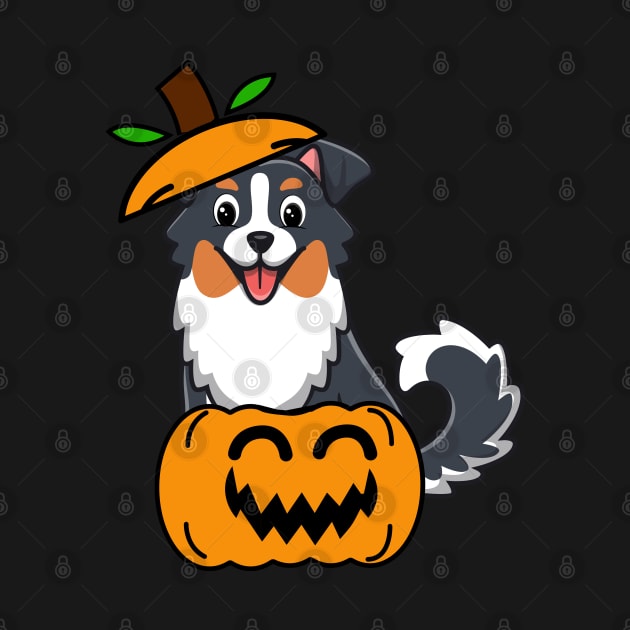 Cute Collie Dog is in a pumpkin by Pet Station