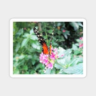 Perching Monarch Butterfly Magnet