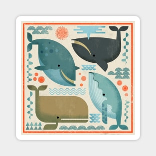 Whales! Magnet