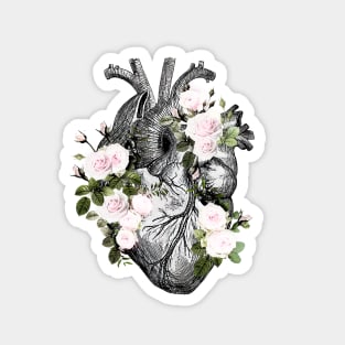 Human heart and roses, anatomy illustration art, lightpink roses and leaves Magnet