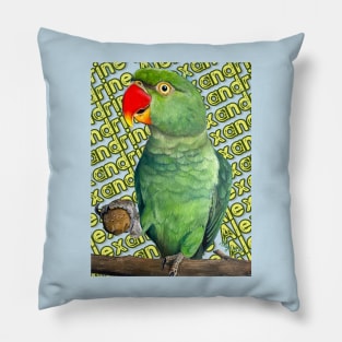 Alexandrine Pillow