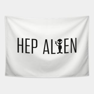 Hep Alien fictional band from Gilmore Girls. Enjoy! Tapestry