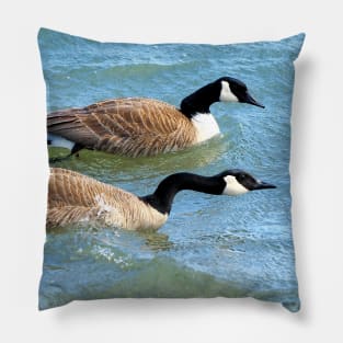 Protective Canada Geese Parents Pillow