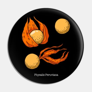 Physalis Peruviana Drawing - Cape Gooseberry Pin