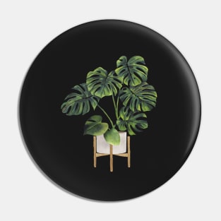 Monstera Plant In Pot Pin