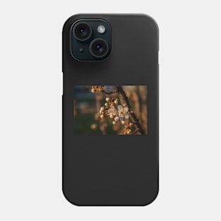 Plum Blossoms Phone Case