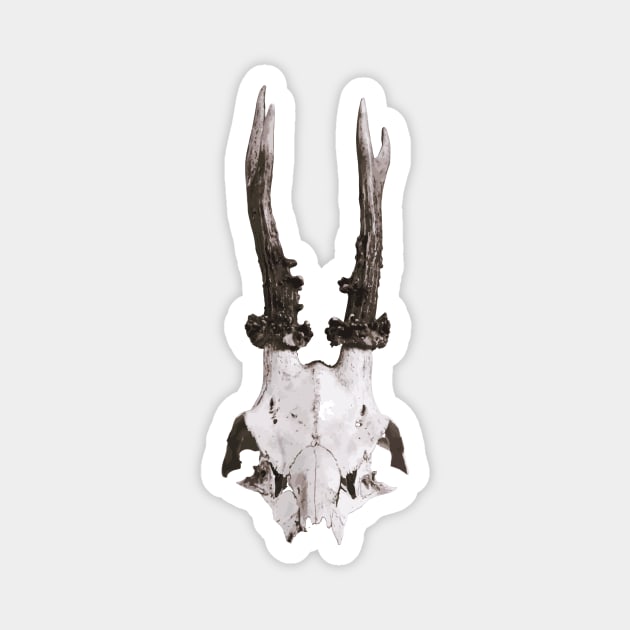 Deer Skull Magnet by Xilie