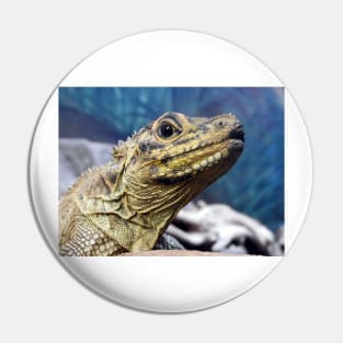 Sailfin Lizard Pin