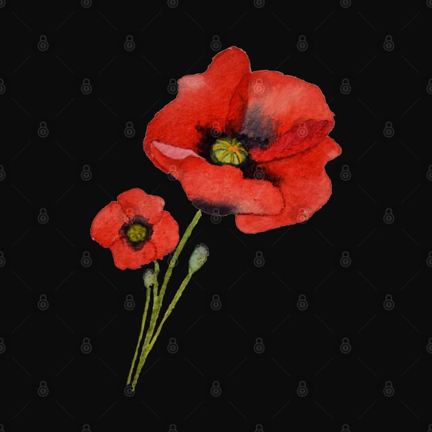 Watercolour Poppies by Kirsty Topps