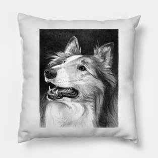 BRODY Pillow