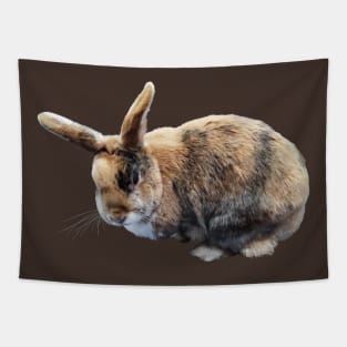 Brown and Tan Rabbit Tapestry