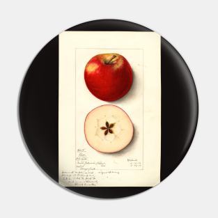 Rome Apple Pin