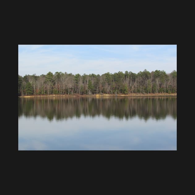 Lake Reflections by ToniaDelozier