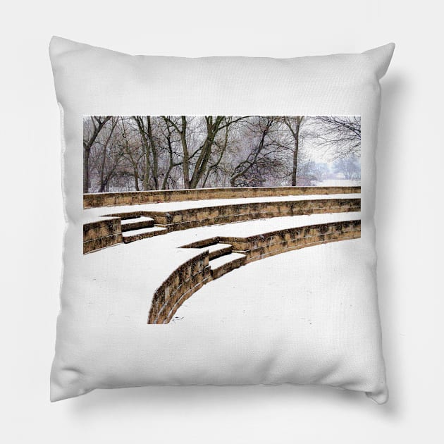 Snowy Steps at Phillips Park Pillow by bgaynor