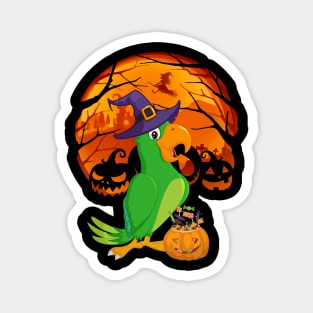 Parrot pumpkin witch Magnet