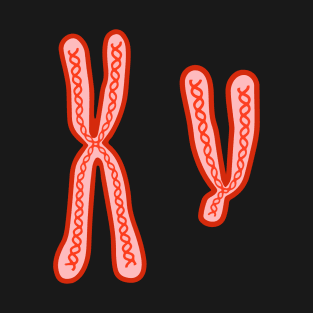 X and Y Chromosomes T-Shirt
