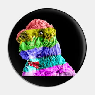 Rainbow Cockapoo 2 Pin