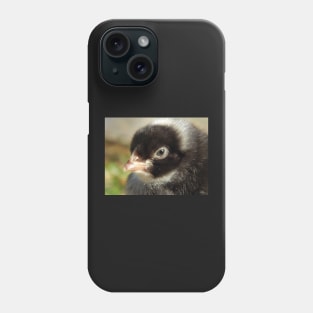 Barred Rock Chick Phone Case