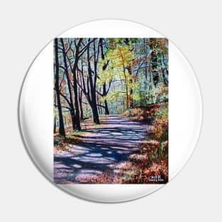 'THE TRAIL FROM CHETOLA TO BASS LAKE' Pin