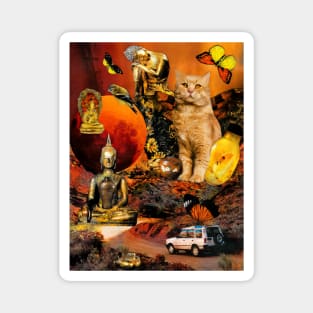 Orange Cat Peaceful Buddha Sunset Heaven Magnet