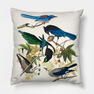 Yellow-Billed Magpie, Stellers Jay, Ultramarine Jay and Clark's Crow from Birds of America (1827) Pillow