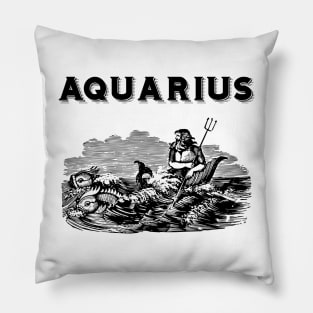 Aquarius Pillow