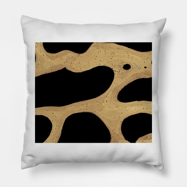 Bone cross-section, SEM (C019/5250) Pillow by SciencePhoto