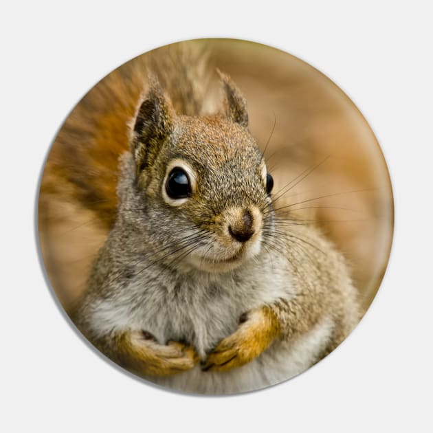 Red Squirrel Pin by jaydee1400