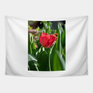 Red Tulip flower with green leaves Tapestry