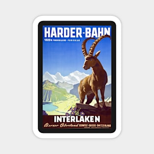 Interlaken,Switzerland,Ski Travel Poster Magnet