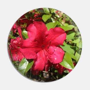 Red Azalea Pin