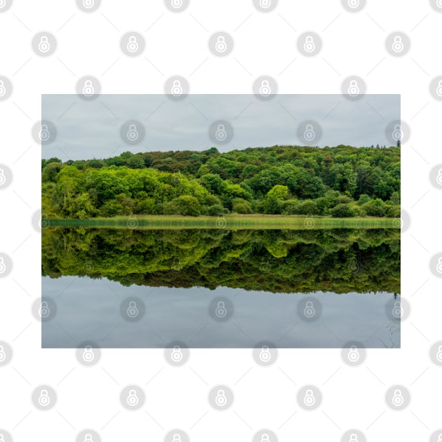 Lough Gill, Co. Sligo/Co. Leitrim, Ireland by mbangert