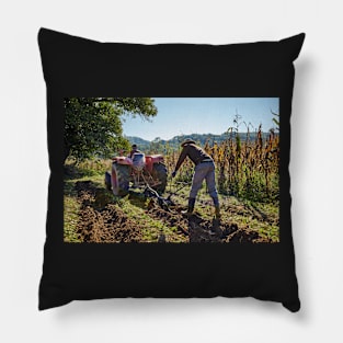 Potatoes harvest Pillow