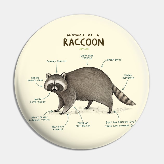 Anatomy of a Raccoon Pin by Sophie Corrigan