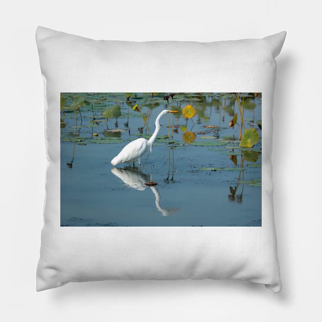 Egret hunting Pillow by FlyingLilly