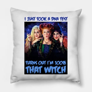 I Took A DNA Test Turns Out I'm 100% That Witch Pillow