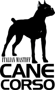 Cane Corso - Italian Mastiff Magnet