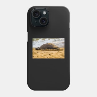 Monk seal 1 Phone Case