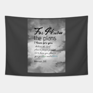 Bible verse Jeremiah 29:11 on hand drawn sky digital painting Tapestry