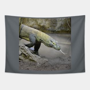 Komodo dragon Tapestry