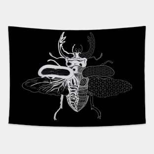 Geometric Beetle Clear Tapestry