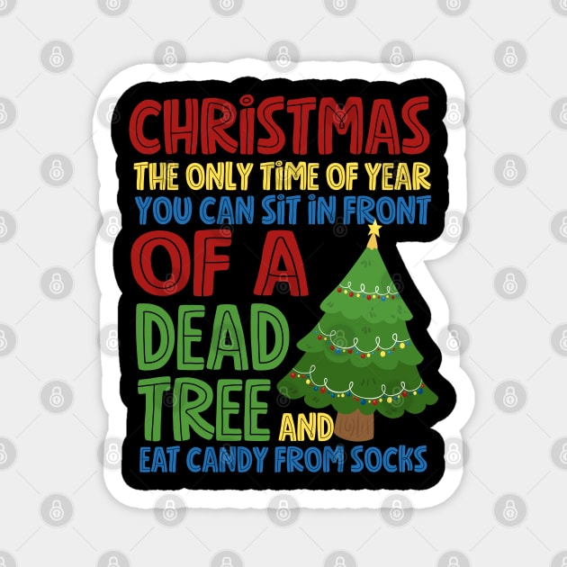 Christmas The Only Time Of Year You Can Eat Candy From Socks Funny Magnet by screamingfool