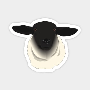 Sheep Magnet