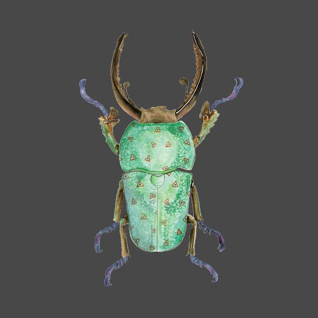 Beetle by mariajesusdelgado