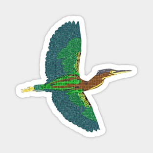 Green Heron Magnet