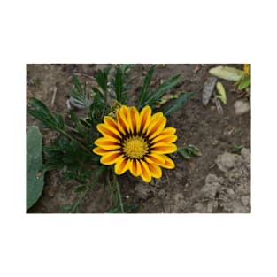 Beautiful yellow-orange flower T-Shirt